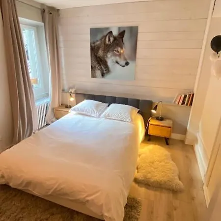 Apartamento Mocca Au Coeur De Mont-blanc *