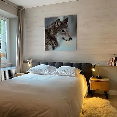 Mocca Au Coeur De Mont-blanc Chamonix